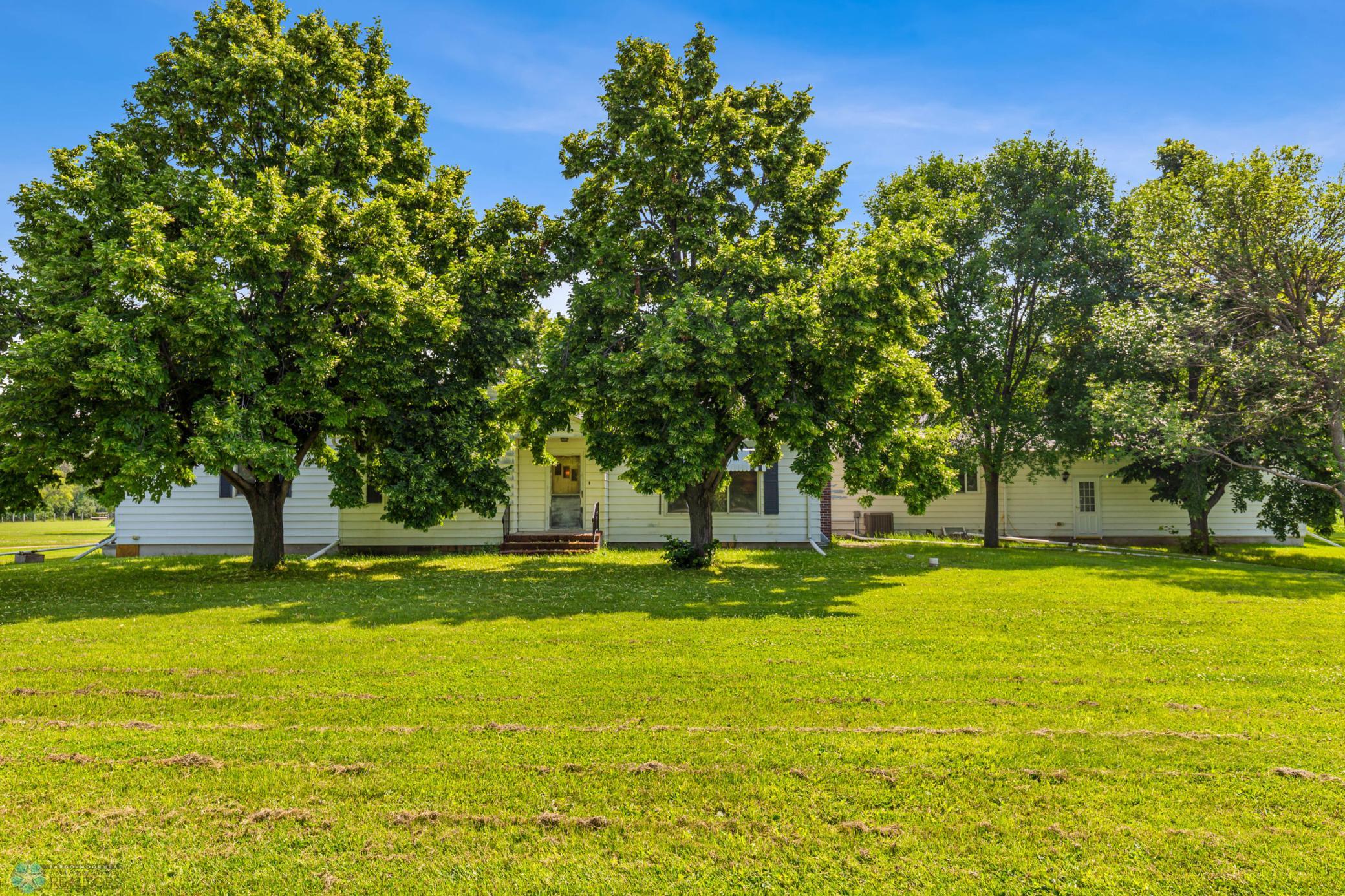 Side of Home- Mature Tree Coverage