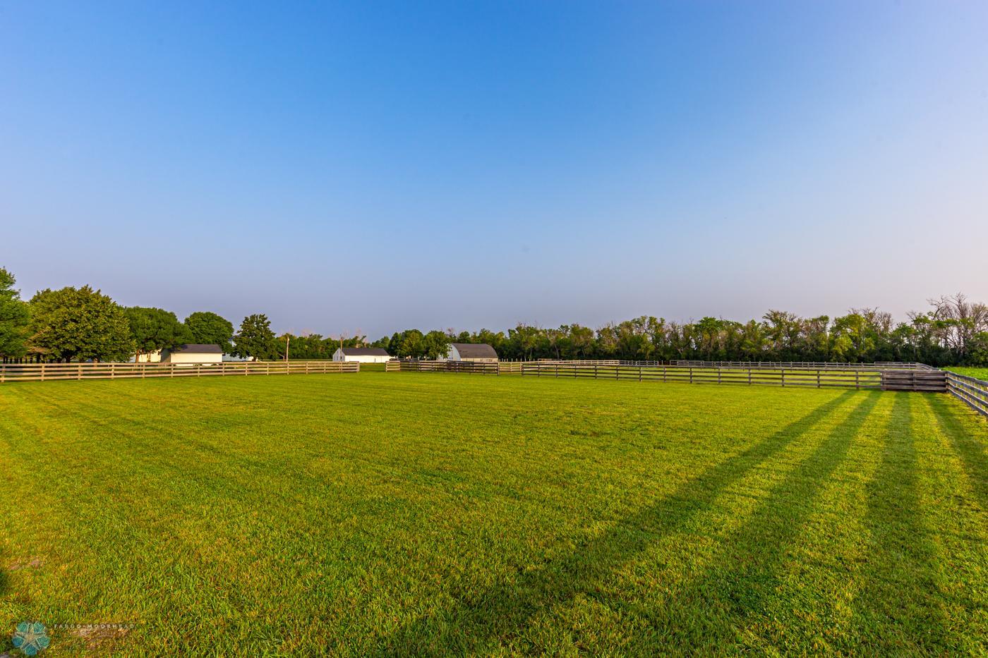 Pasture