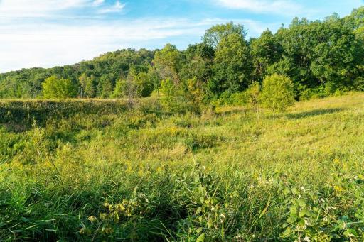 N5595 County Road F, Durand, WI 54736