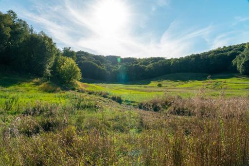 N5595 County Road F, Durand, WI 54736