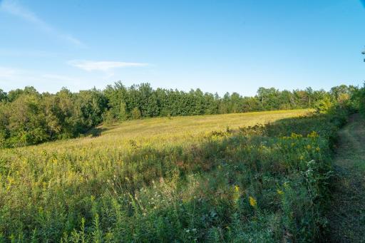 N5595 County Road F, Durand, WI 54736