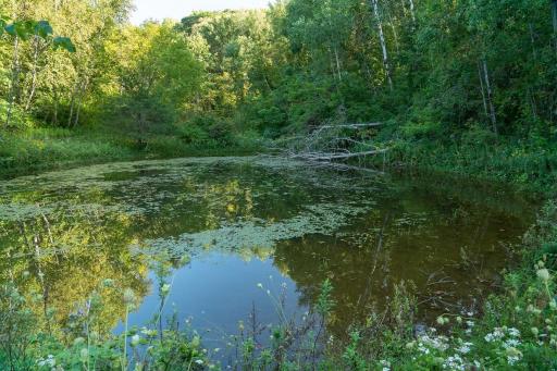 N5595 County Road F, Durand, WI 54736