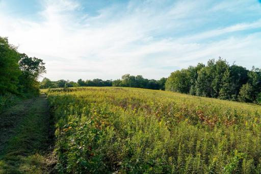 N5595 County Road F, Durand, WI 54736