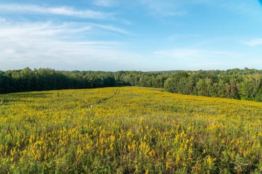 N5595 County Road F, Durand, WI 54736