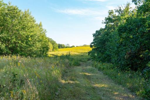 N5595 County Road F, Durand, WI 54736