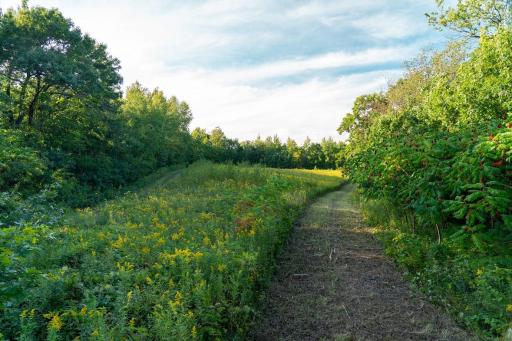 N5595 County Road F, Durand, WI 54736