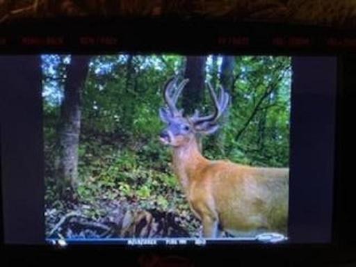 N5595 County Road F, Durand, WI 54736