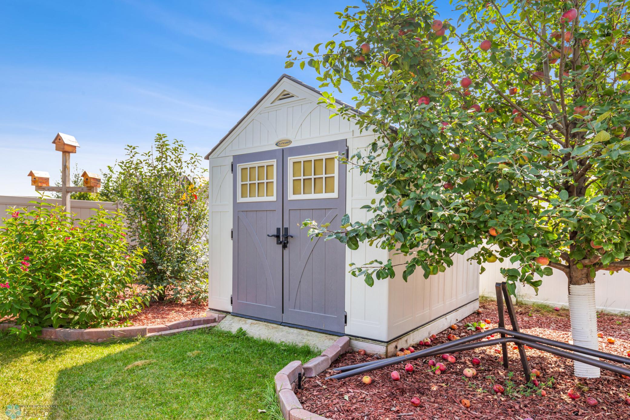 Shed