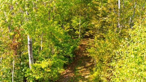 3803 S Salmi Road, Hibbing, MN 55746