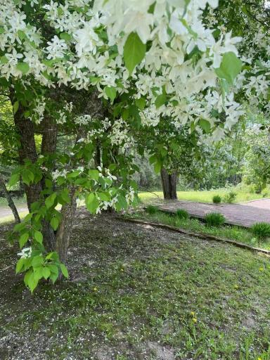 3803 S Salmi Road, Hibbing, MN 55746