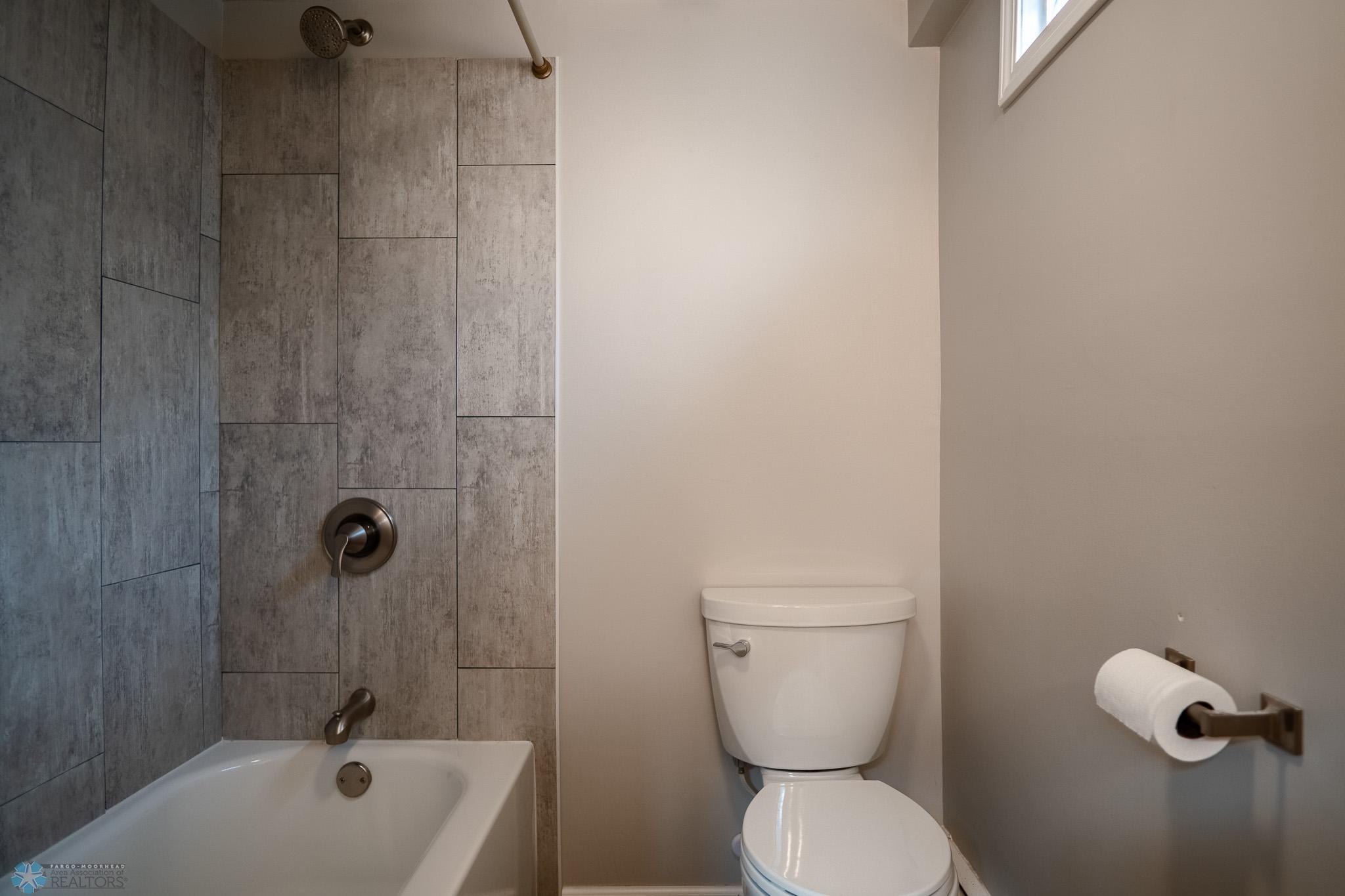 Lower Level Bathroom