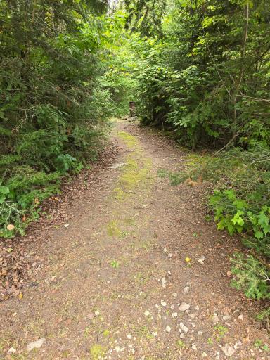 8 Flag, Oak Island, MN 56741