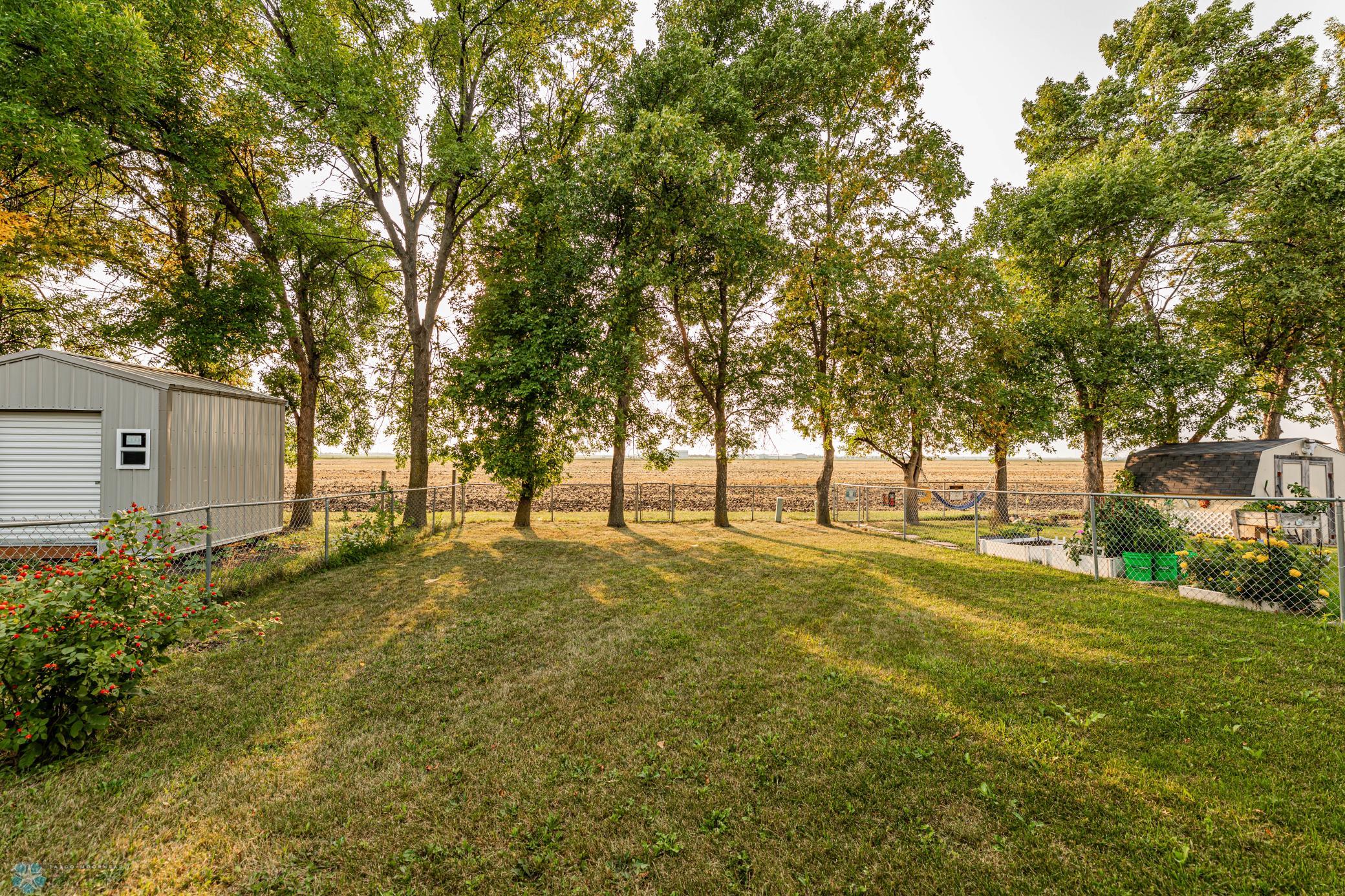Backyard 1.jpg