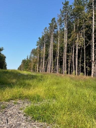 16 County Road B, Woodville, WI 54028