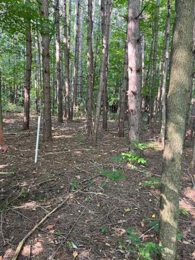 16 County Road B, Woodville, WI 54028
