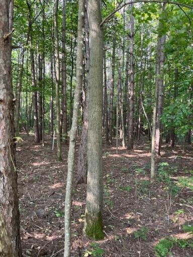 16 County Road B, Woodville, WI 54028