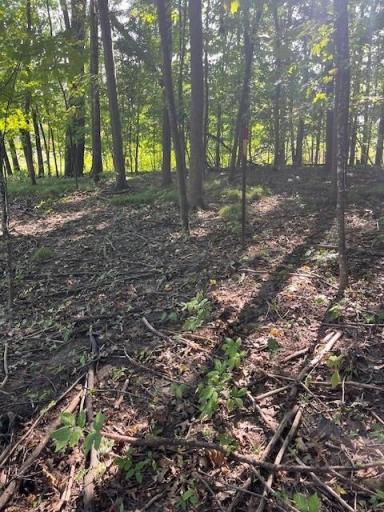 16 County Road B, Woodville, WI 54028