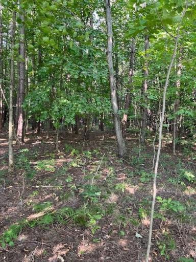 16 County Road B, Woodville, WI 54028