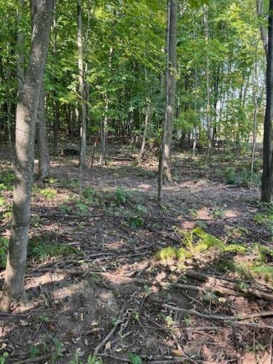 16 County Road B, Woodville, WI 54028