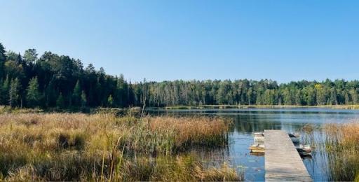 TBD Frost Bite Road, Akeley, MN 56433