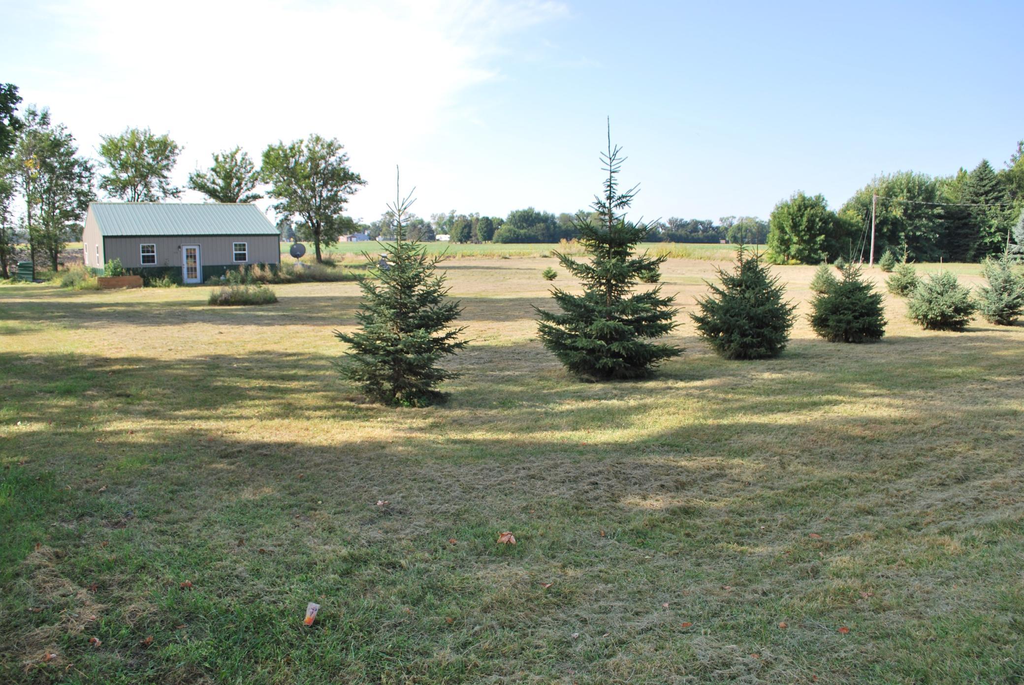 Photo 25