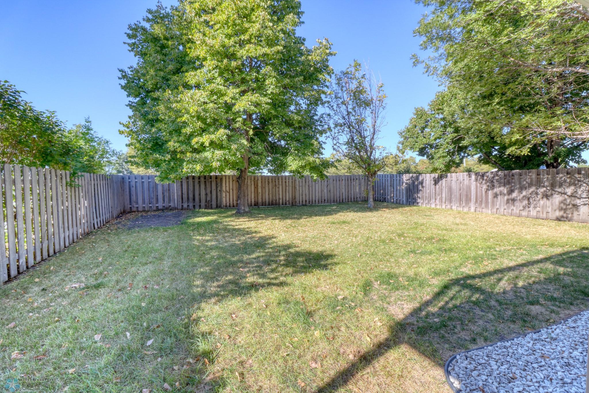 Backyard1_1.jpg