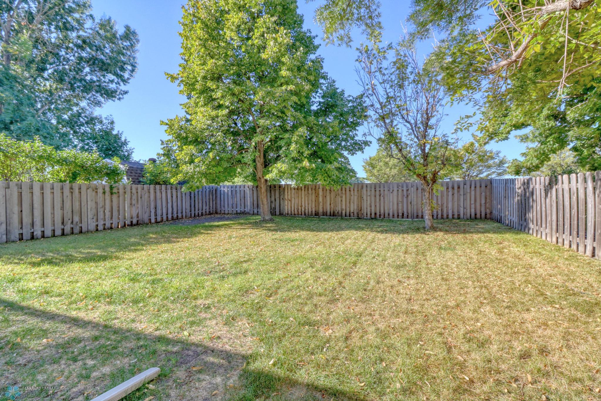 Backyard1_2.jpg