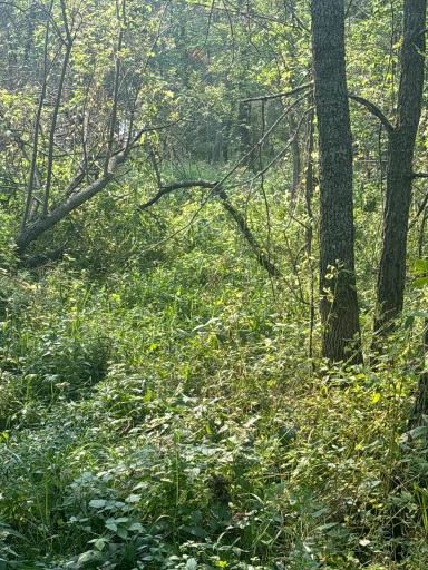 XXX Elm Point, Warroad, MN 56763