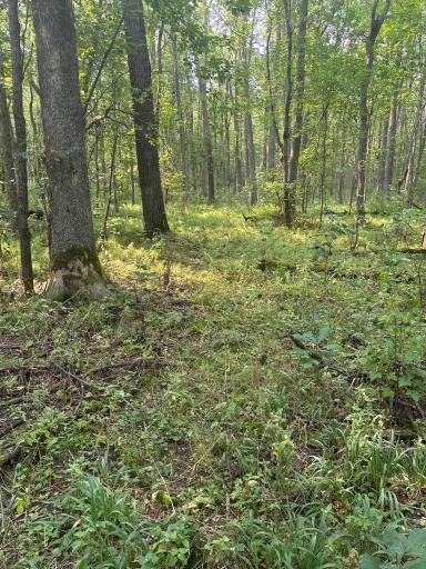XXX Elm Point, Warroad, MN 56763