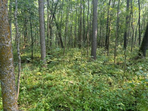 Photo for XXX Elm Point, Warroad, MN 56763 - Listing #6602757 XXX Elm Point, Warroad, MN 56763