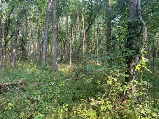 Photo for XXX Elm Point, Warroad, MN 56763 - Listing #6602757 XXX Elm Point, Warroad, MN 56763