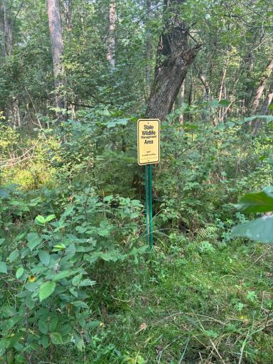 Photo for XXX Elm Point, Warroad, MN 56763 - Listing #6602757 State Land Makers on west side of property