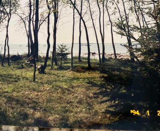 Photo for XXX Elm Point, Warroad, MN 56763 - Listing #6602757 XXX Elm Point, Warroad, MN 56763