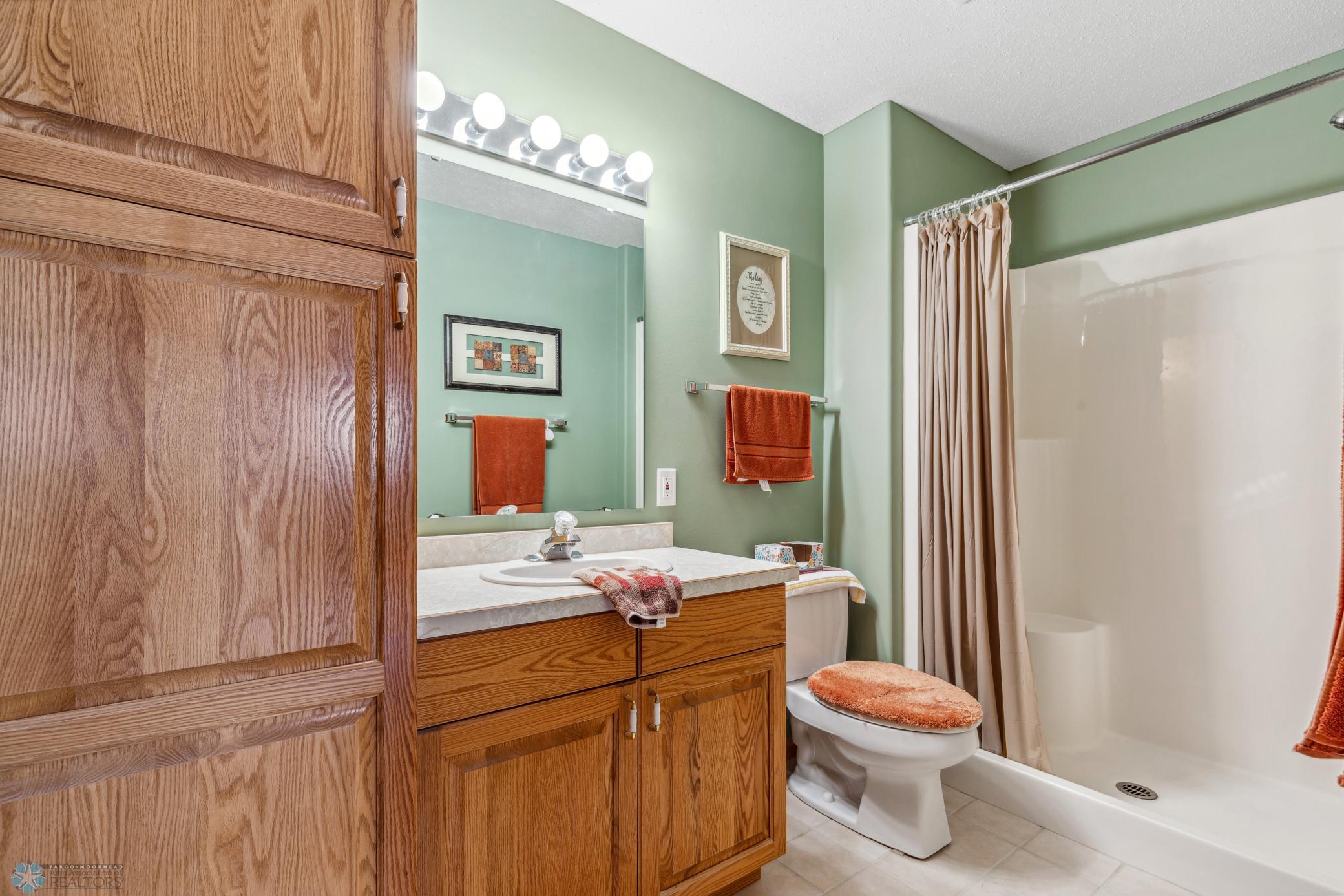 Lower Level Bathroom