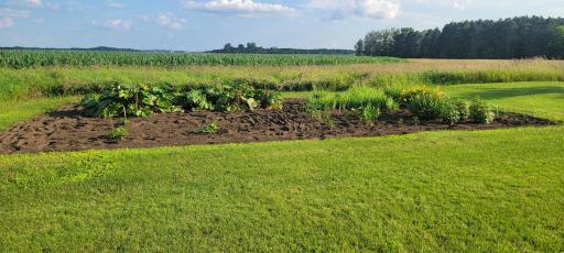 25241 County 16, Browerville, MN 56438