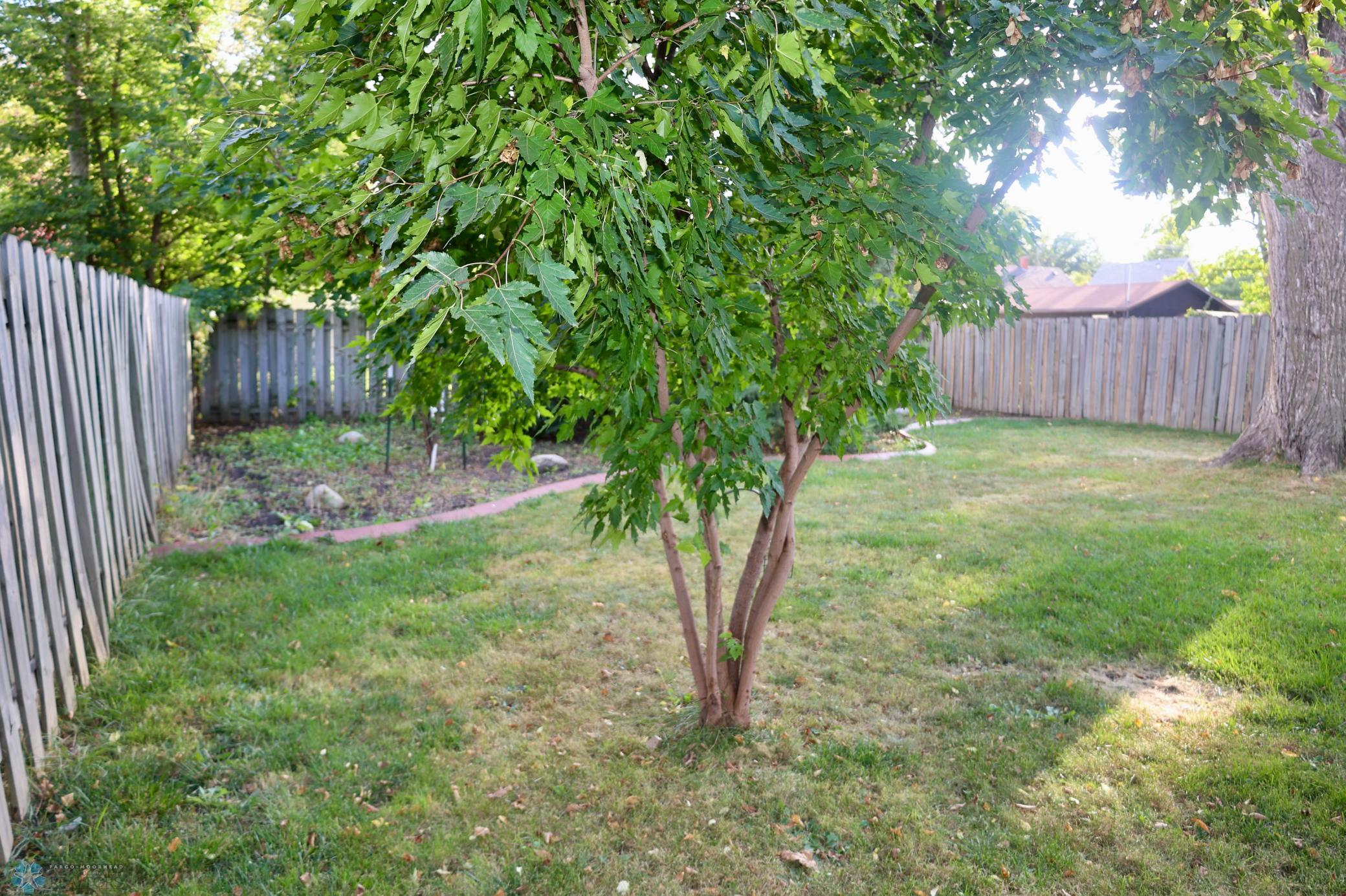 BK9A2671.jpg
