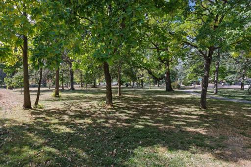 The park across the street with trails to 3 lakes. Great place to walk your dog!