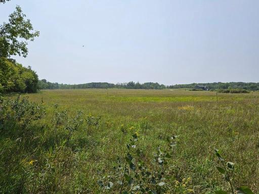 XXXX, Lot 1 Co Rd 38 NE, Carlos, MN 56319