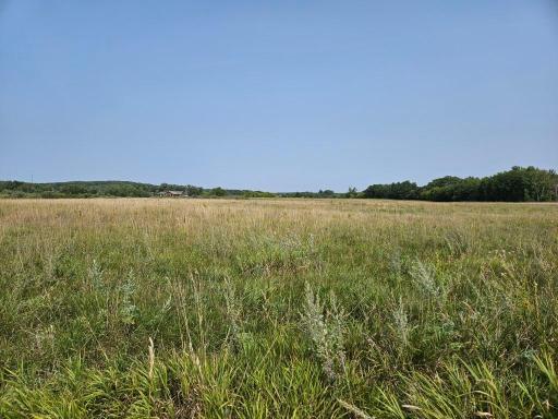 XXXX, Lot 2 Co Rd 38 NE, Carlos, MN 56319