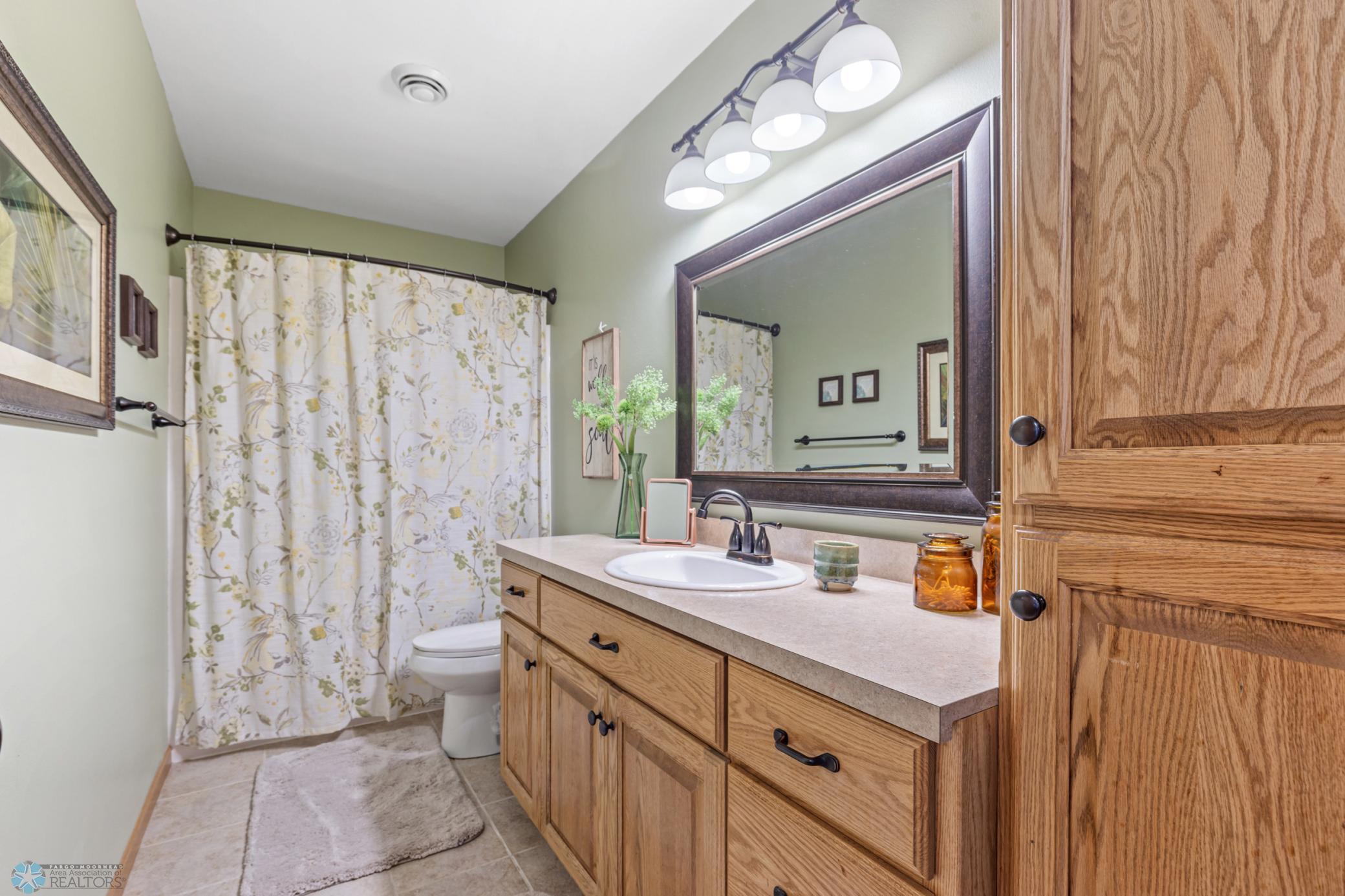 Lower Level Bathroom