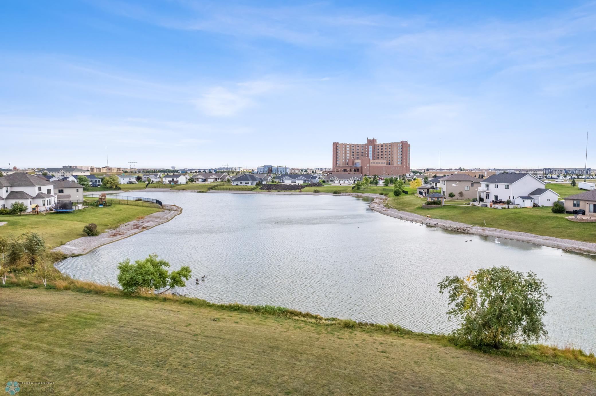 Neighborhood Pond