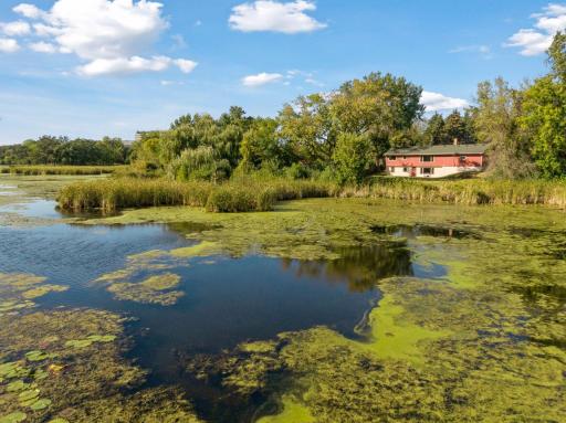 A wonderful canoe and kayak lake to paddle