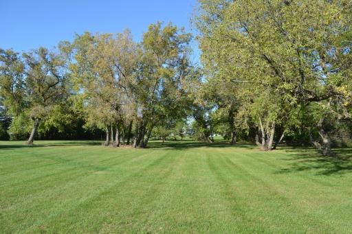 12788 State Highway 32 NE, Thief River Falls, MN 56701
