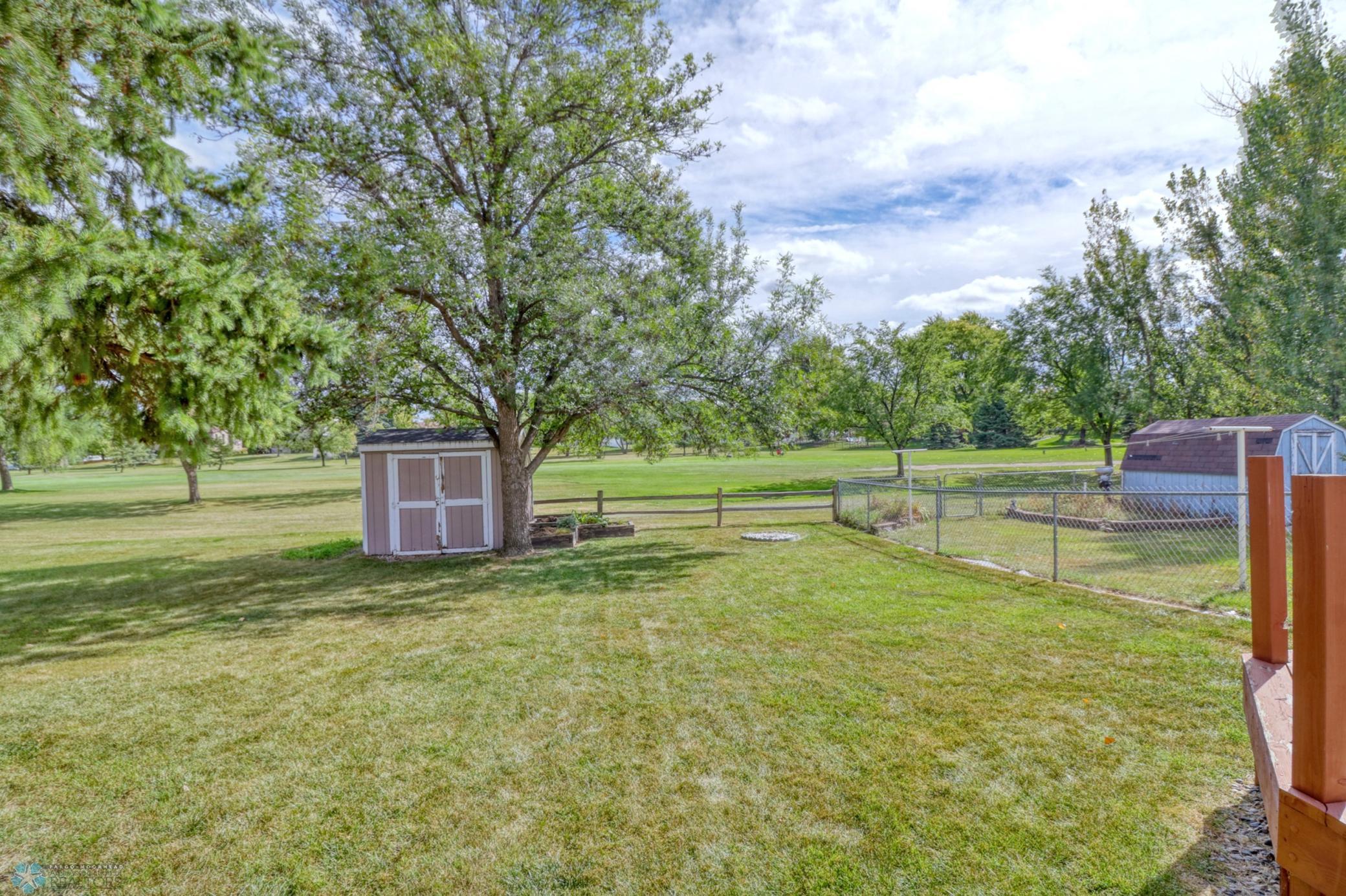Backyard1_0.jpg