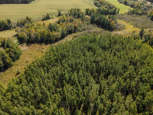 000 Hinckley Road, Hinckley, MN 55037