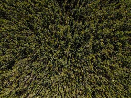 000 Hinckley Road, Hinckley, MN 55037