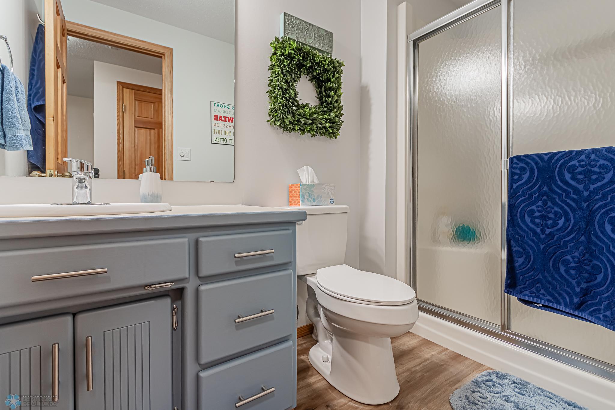 Lower level 3/4 bathroom