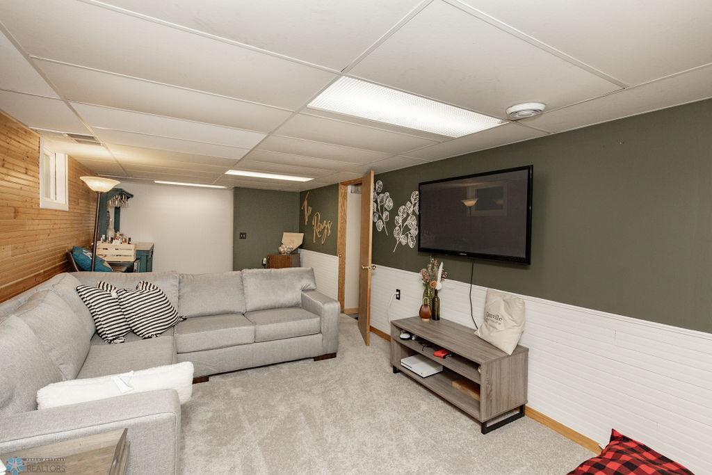 Basement Living Room