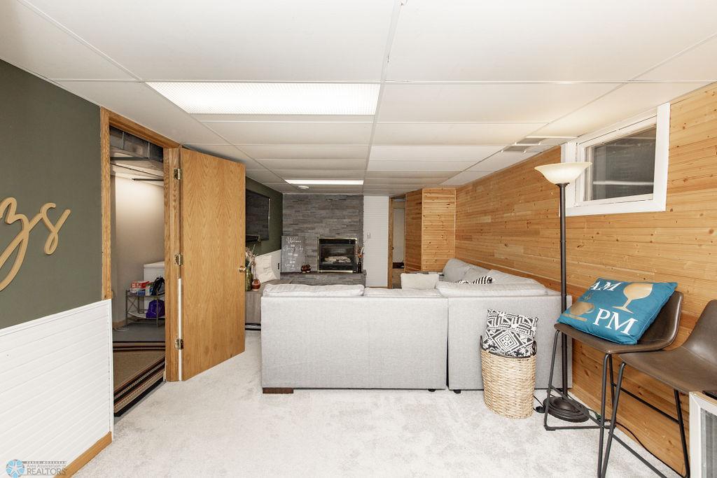Basement Living Room