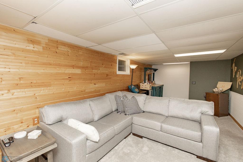 Basement Living Room